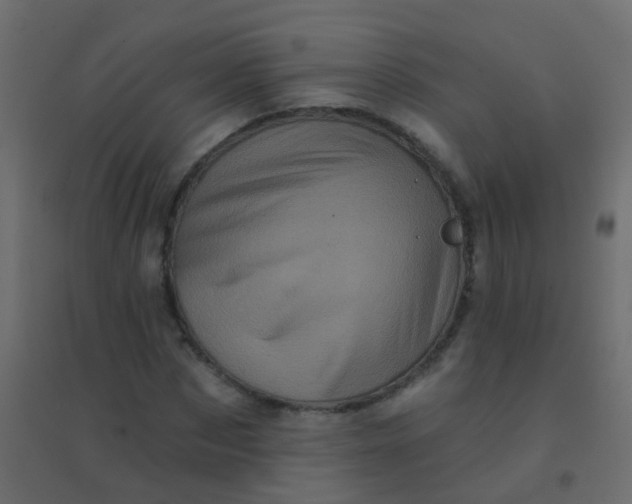 X0000094900873200712131428
