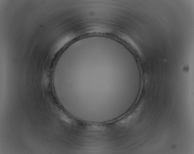 X0000094900874200712131428