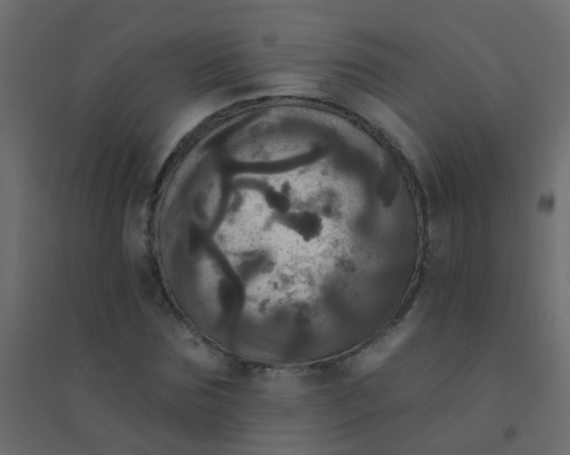 X0000094900875200712131428