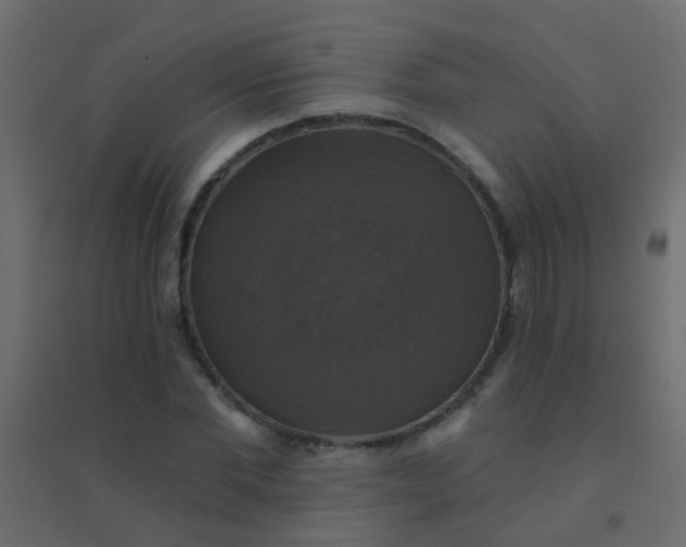 X0000094900877200712131428