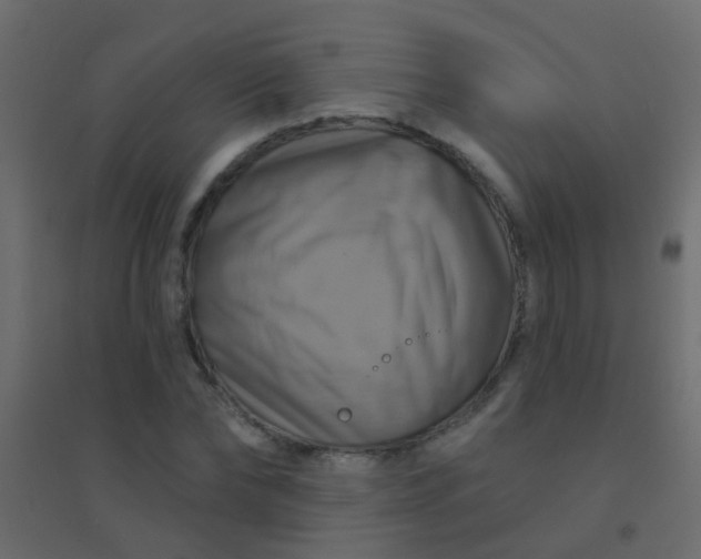 X0000094900878200712131428