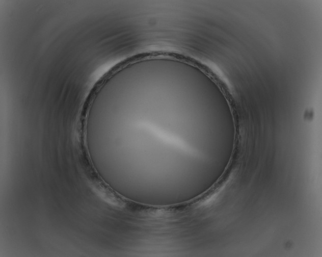 X0000094900879200712131428