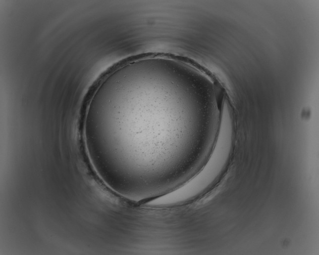 X0000094900880200712131428