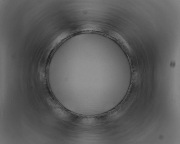 X0000094900882200712131428