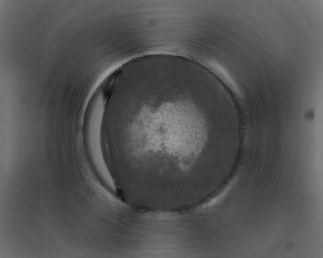 X0000094900884200712131428
