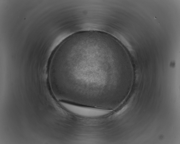 X0000094900885200712131428