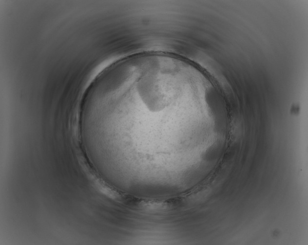 X0000094900886200712131428