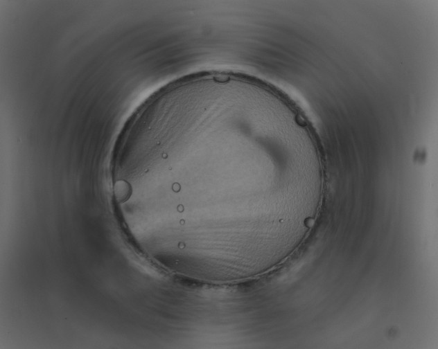 X0000094900887200712131428