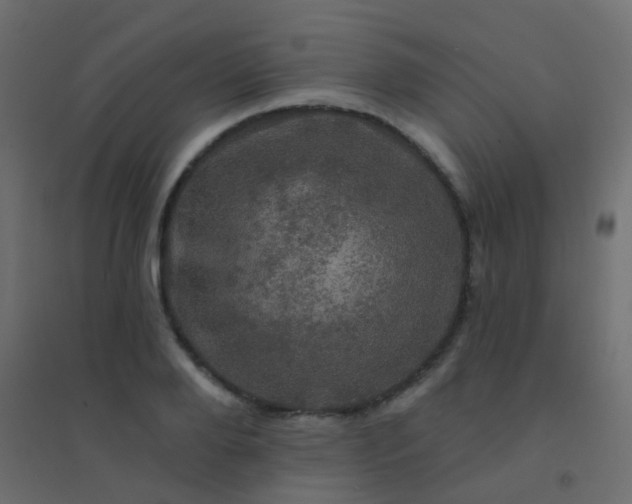 X0000094900888200712131428