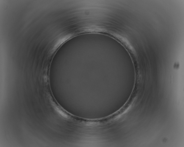 X0000094900889200712131428