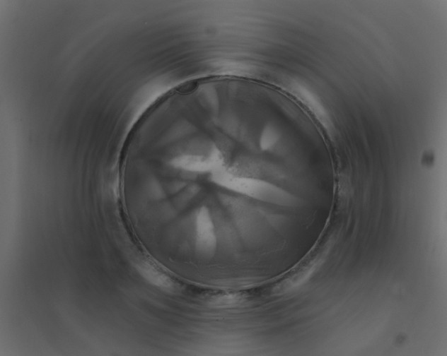 X0000094900891200712131428