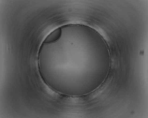 X0000094900895200712131428