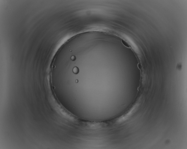 X0000094900899200712131428