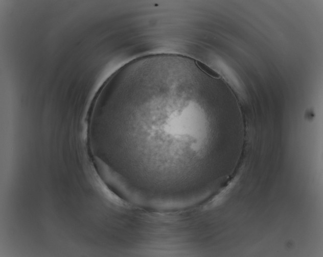 X0000094900900200712131428