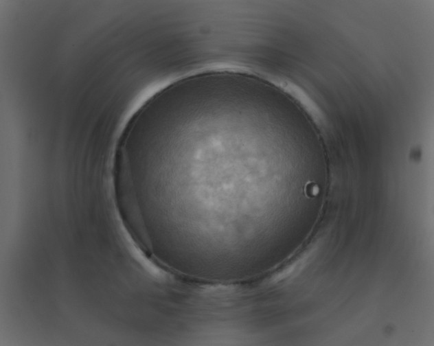 X0000094900902200712131428