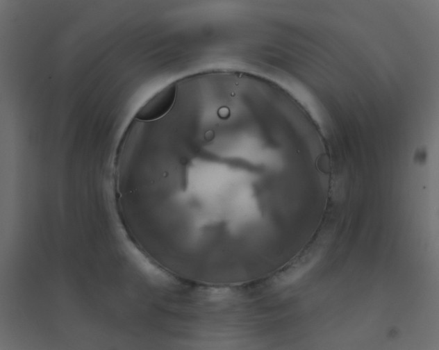 X0000094900903200712131428