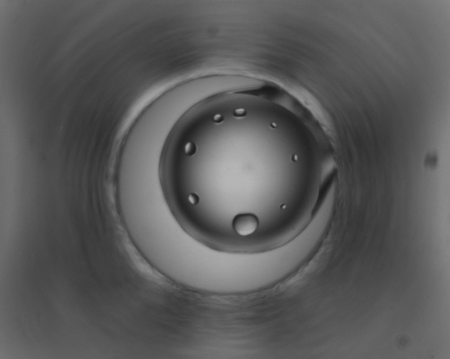 X0000094900904200712131428