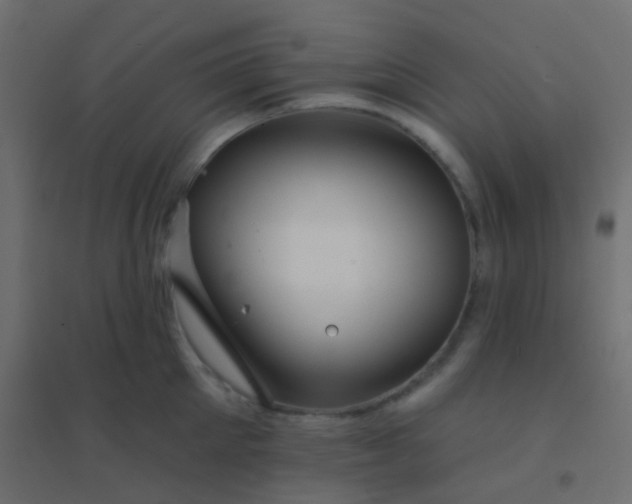 X0000094900905200712131428