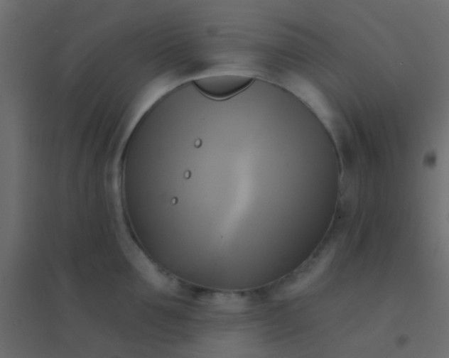 X0000094900907200712131428
