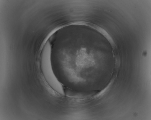 X0000094900908200712131428