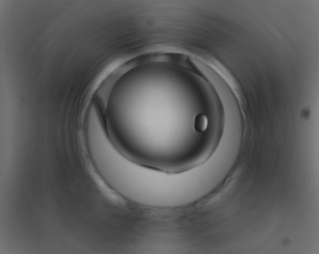 X0000094900909200712131428
