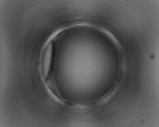 X0000094900910200712131428