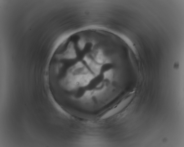 X0000094900911200712131428