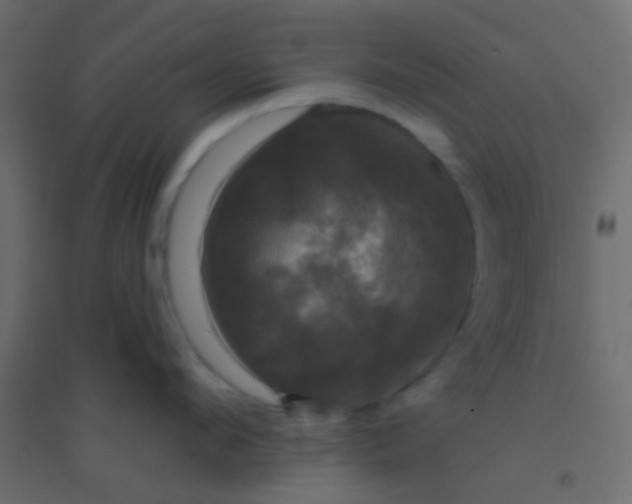 X0000094900912200712131428