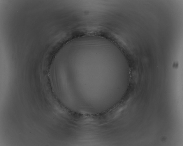 X0000094900913200712131427