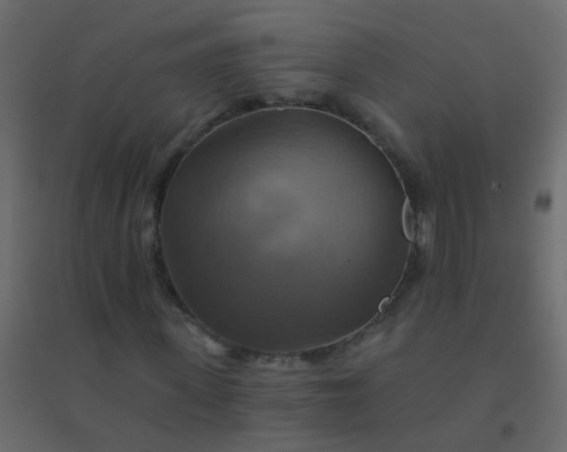 X0000094900915200712131427