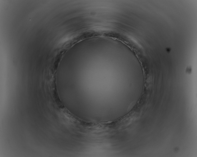 X0000094900917200712131427