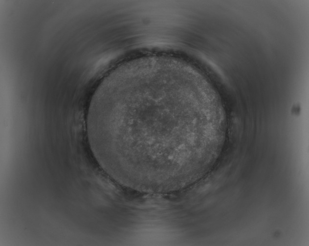 X0000094900918200712131427
