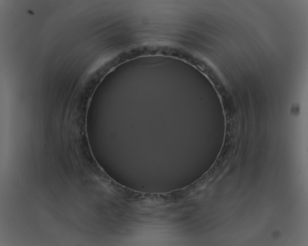 X0000094900919200712131427