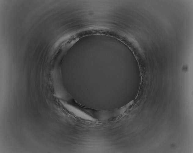 X0000094900920200712131427