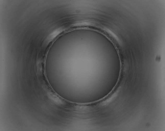 X0000094900921200712131427