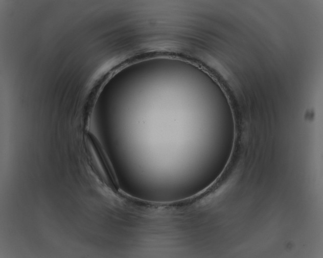 X0000094900922200712131427