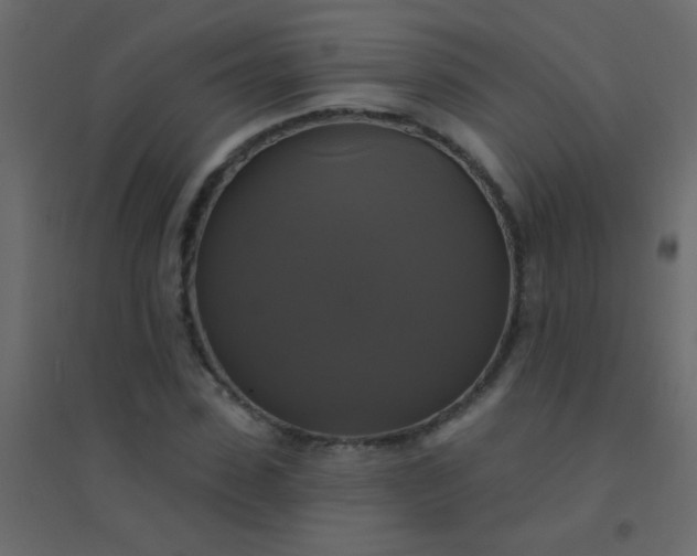X0000094900923200712131427