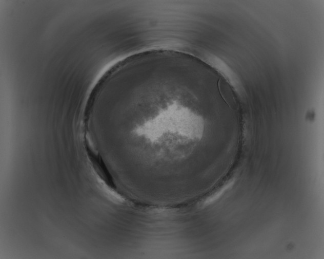 X0000094900924200712131427