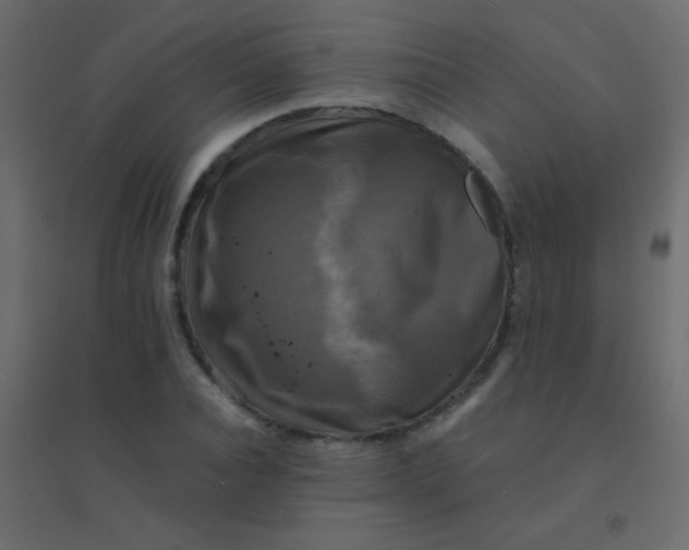 X0000094900928200712131427