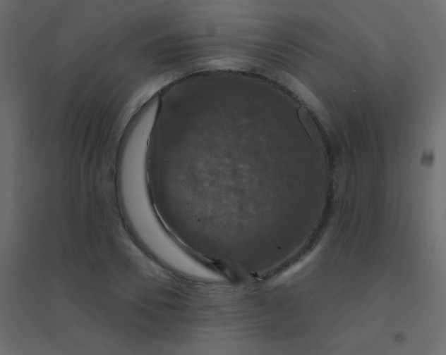 X0000094900930200712131427