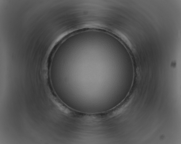 X0000094900931200712131427
