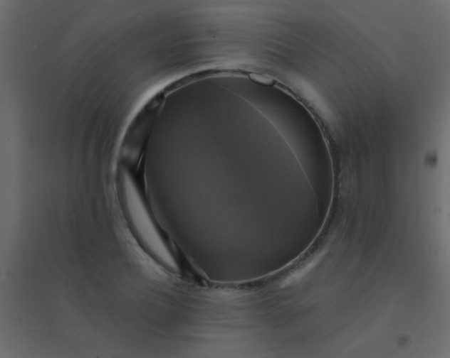 X0000094900932200712131427