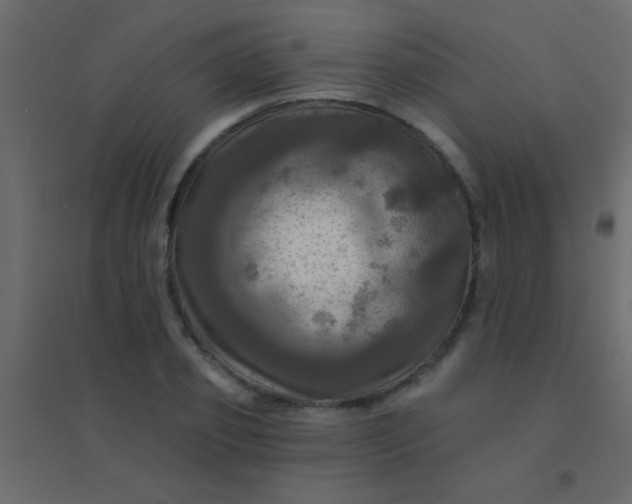 X0000094900933200712131427