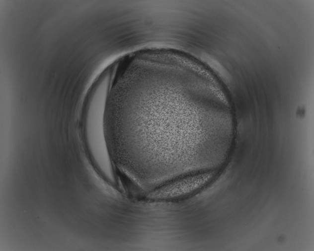 X0000094900934200712131427