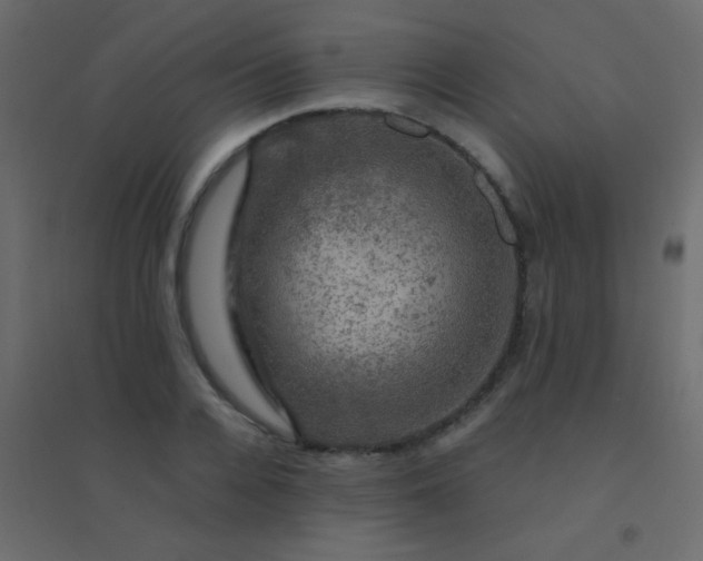 X0000094900936200712131427