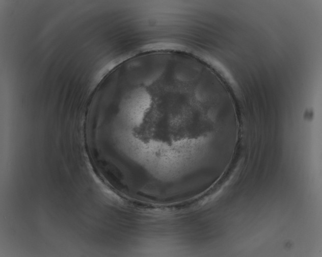 X0000094900937200712131427