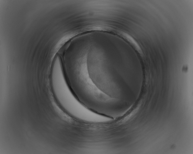 X0000094900938200712131427