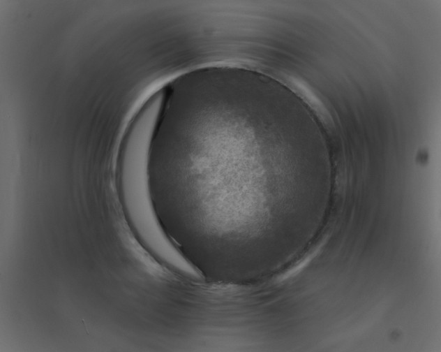 X0000094900940200712131427