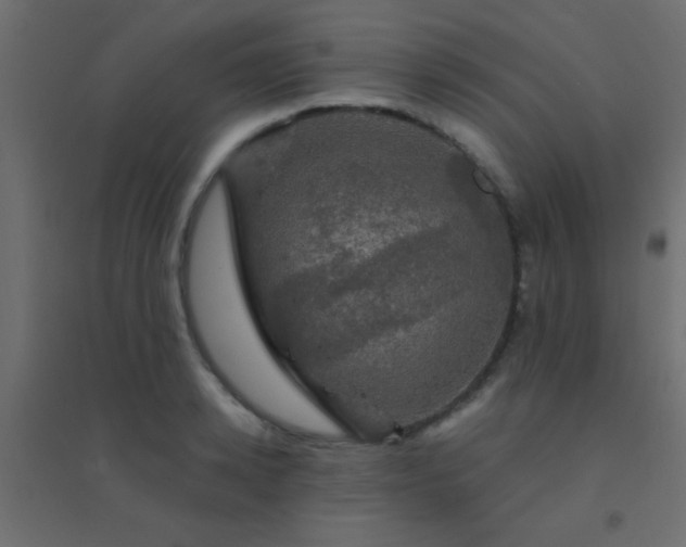 X0000094900942200712131427