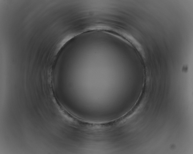 X0000094900945200712131427